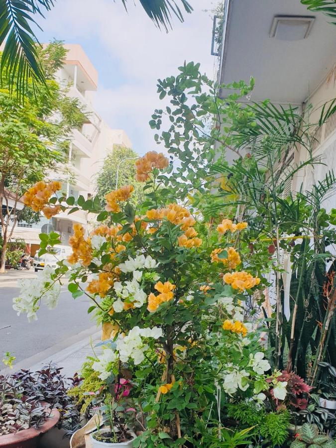 Hotel Chez Lotus Vn *